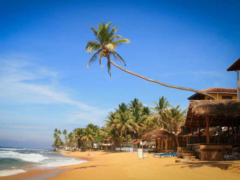 Beach Explorer Paradise - Image 5